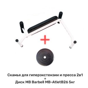 Скамья для гиперэкстензии и пресса 2в1 + диск 5кг Barfits