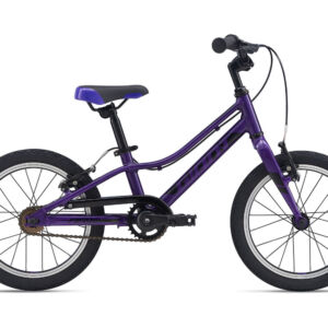 Детский велосипед Giant ARX 16 F/W, год 2021, цвет Фиолетовый Нидерланды VlSkld