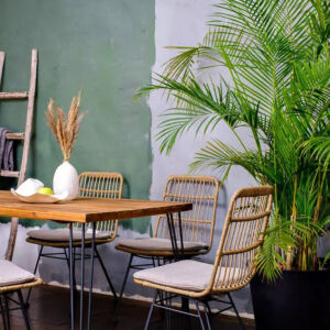 Обеденный стул плетеный Joygarden CHARLOTTE whgrll