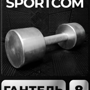 Гантель Sportcom неразборная металлическая 8 кг Barfits