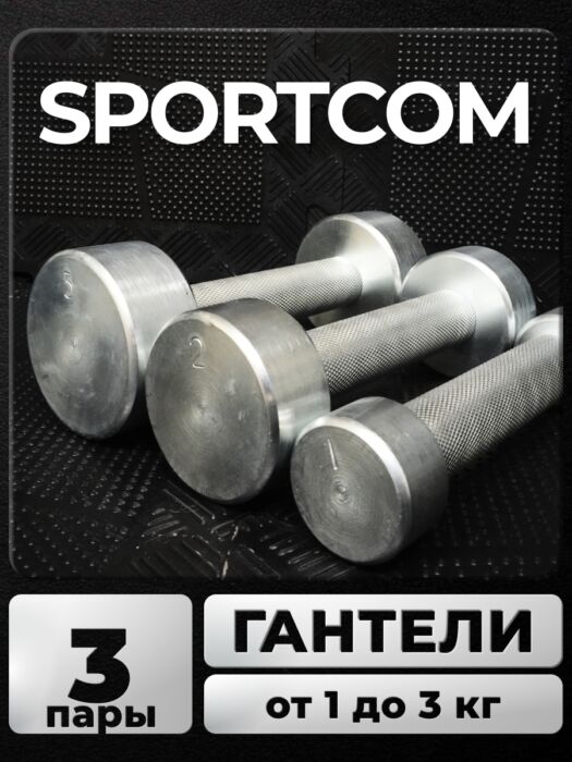 Гантели Sportcom неразборные металлические 1-3 кг 2шт Barfits Гантели Sportcom неразборные металлические 1-3 кг 2шт Barfits
