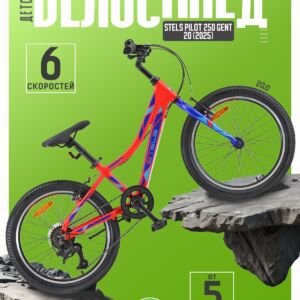 Детский велосипед Stels Pilot 250 Gent 20, год 2025, цвет Красный Алюминий Россия VlSkld
