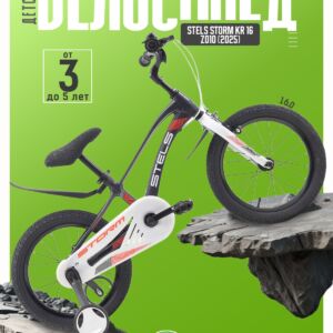 Детский велосипед Stels Storm KR 16 Z010, год 2025, цвет Серый Магний Россия VlSkld