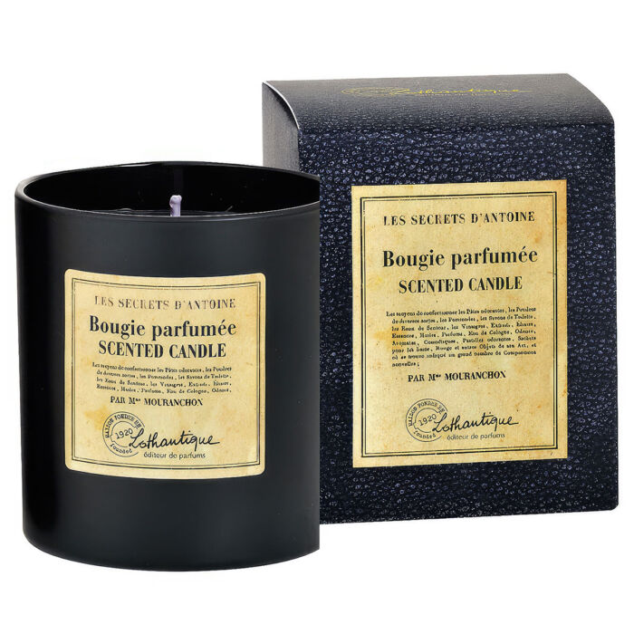 Свеча ароматическая Lothantique Les Secrets D'Antoine Секреты Антуана N020462 vrdm Свеча ароматическая Lothantique Les Secrets D'Antoine Секреты Антуана N020462 vrdm