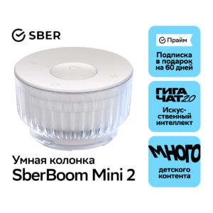 Умная колонка Sber Август 2024 г. Серый  4640076242346 mgfn