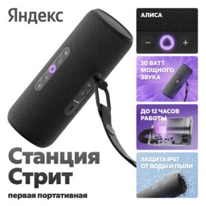 Умная колонка Яндекс Май 2025 г. USB Type-C Черный 4670028541838 mgfn