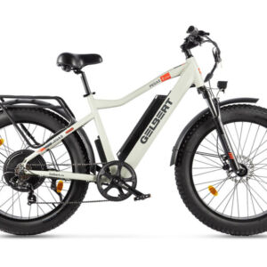 Электровелосипед Gelbert Pegas 2 Ultra, год 2025, цвет Серый Алюминий Китай VlSkld