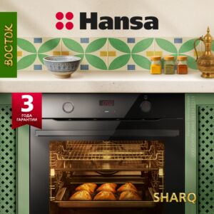 Духовой шкаф Hansa BakingPro BOES684097 размеры 65/65/63